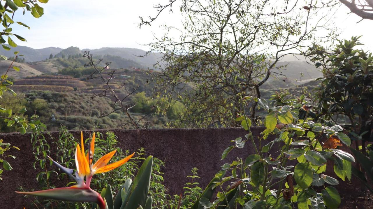 Casa Rural En San Mateo ลาสปัลมาส เด กรานคานาเรีย ภายนอก รูปภาพ