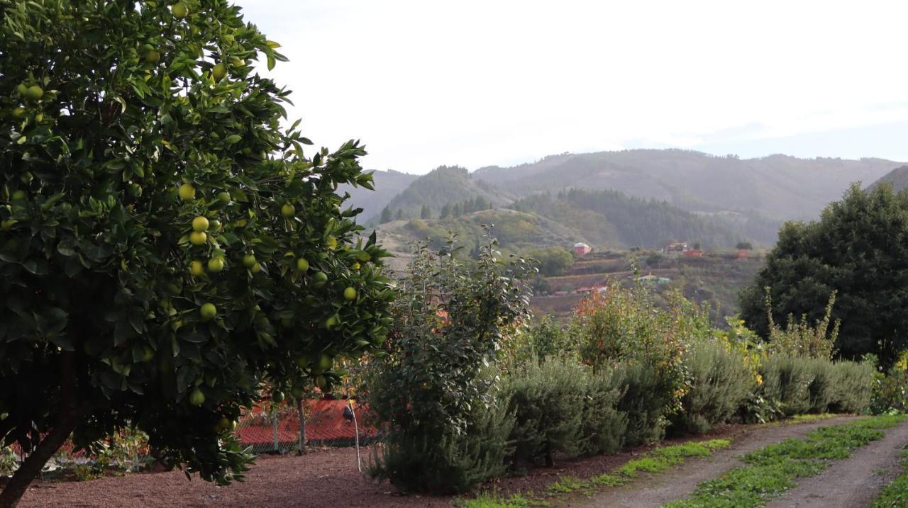 Casa Rural En San Mateo ลาสปัลมาส เด กรานคานาเรีย ภายนอก รูปภาพ
