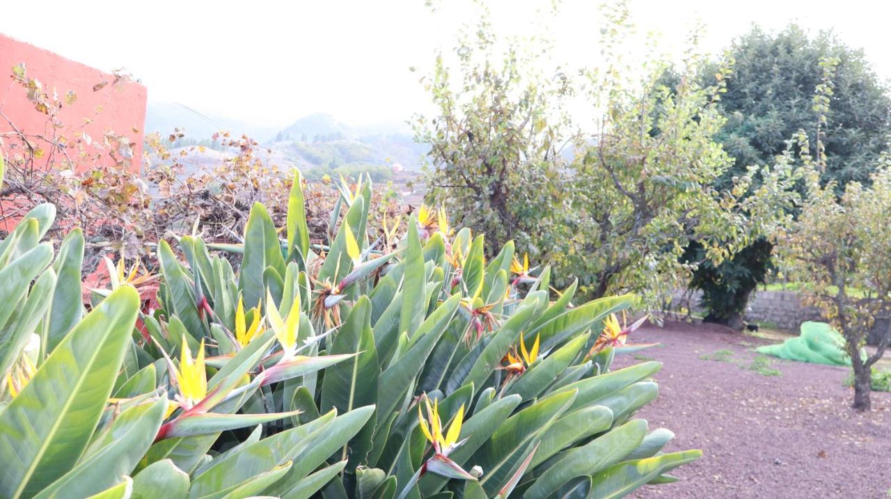 Casa Rural En San Mateo ลาสปัลมาส เด กรานคานาเรีย ภายนอก รูปภาพ