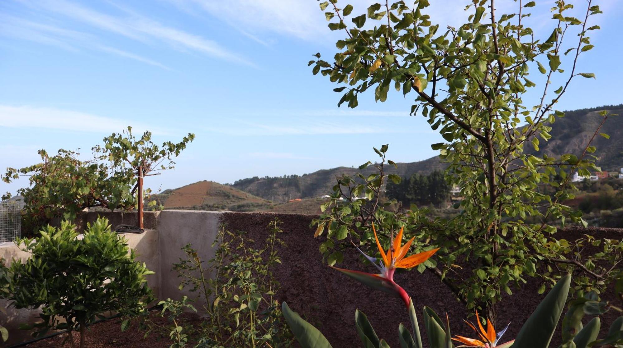 Casa Rural En San Mateo ลาสปัลมาส เด กรานคานาเรีย ภายนอก รูปภาพ