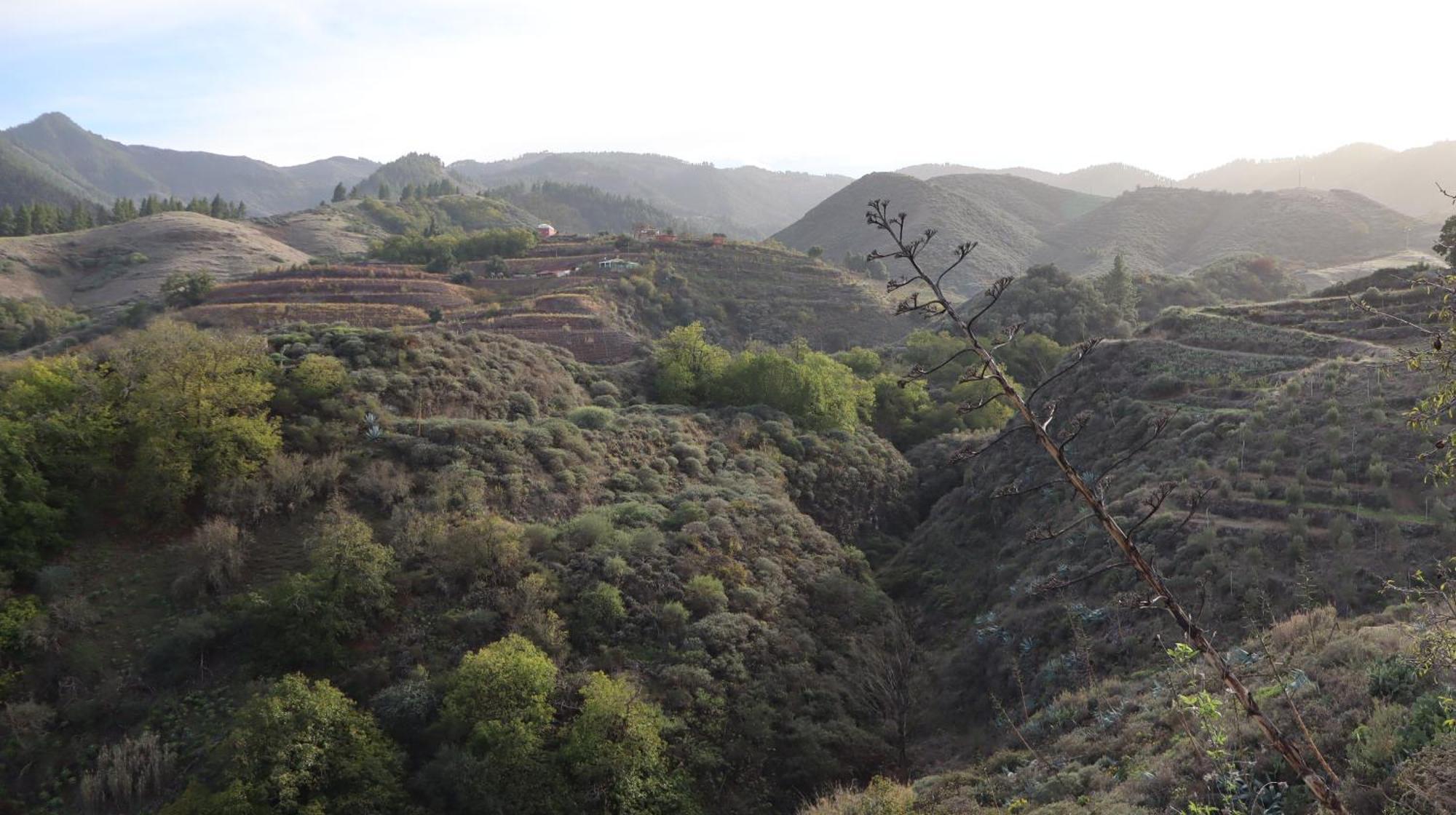Casa Rural En San Mateo ลาสปัลมาส เด กรานคานาเรีย ภายนอก รูปภาพ