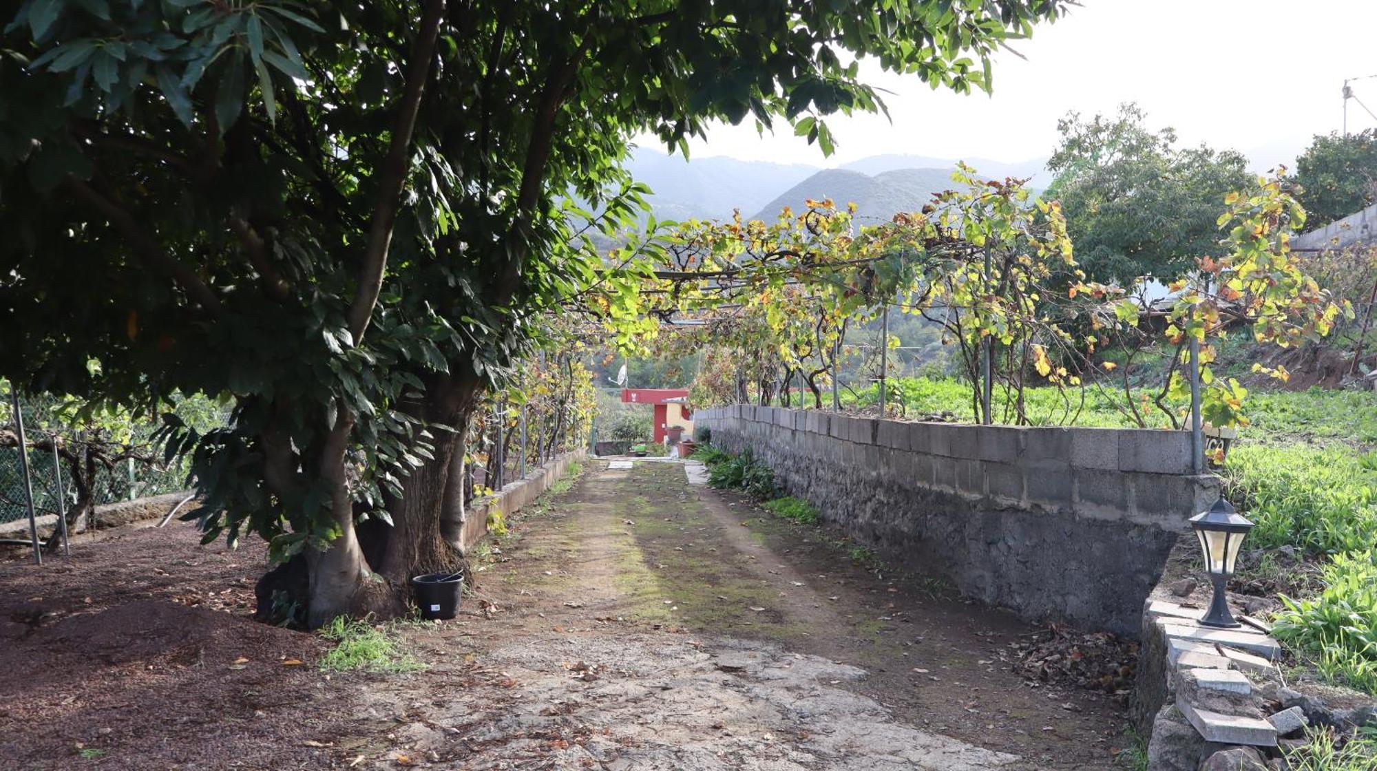 Casa Rural En San Mateo ลาสปัลมาส เด กรานคานาเรีย ภายนอก รูปภาพ