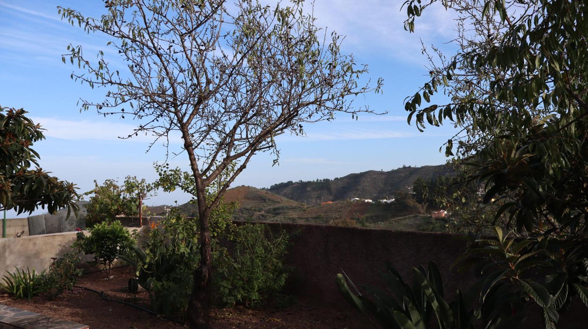 Casa Rural En San Mateo ลาสปัลมาส เด กรานคานาเรีย ภายนอก รูปภาพ